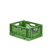 Klappbox Verdura - 400x300x180 - Karton - grün