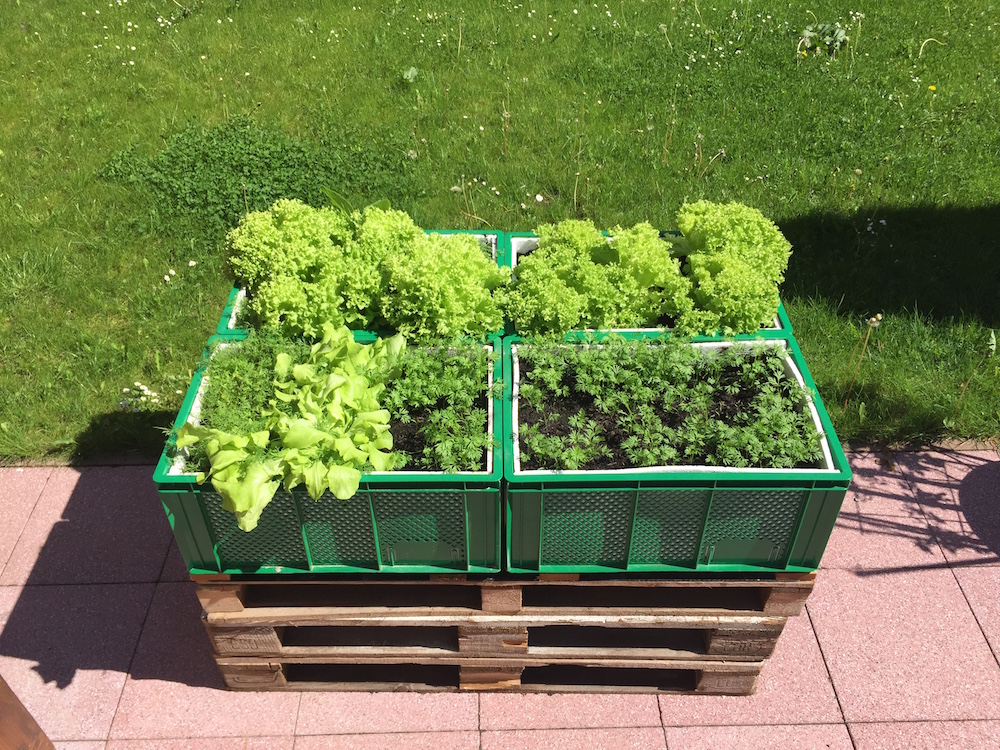 Ein Hochbeet aus Kunststoff?!