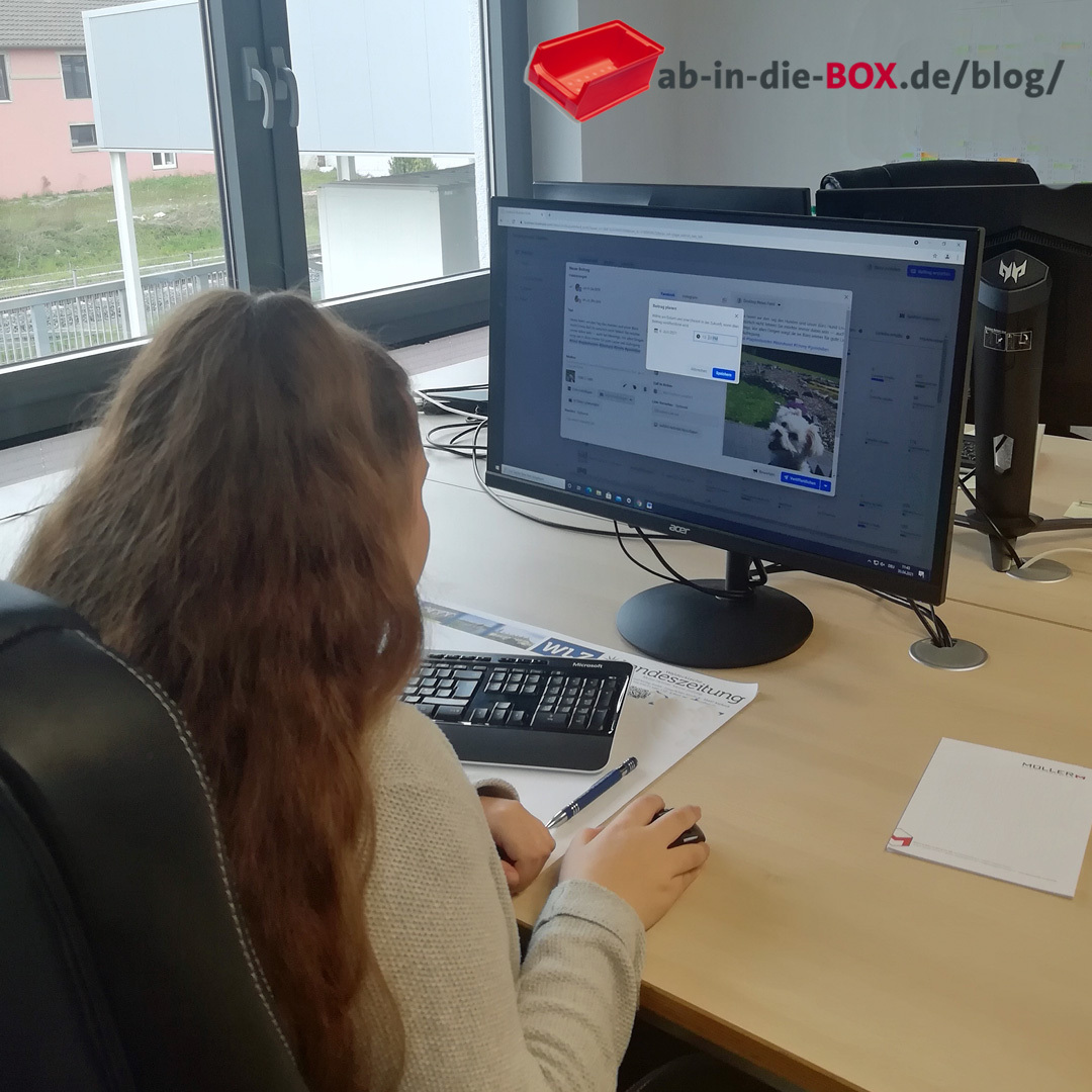 Mein Praktikum bei ab-in-die-BOX